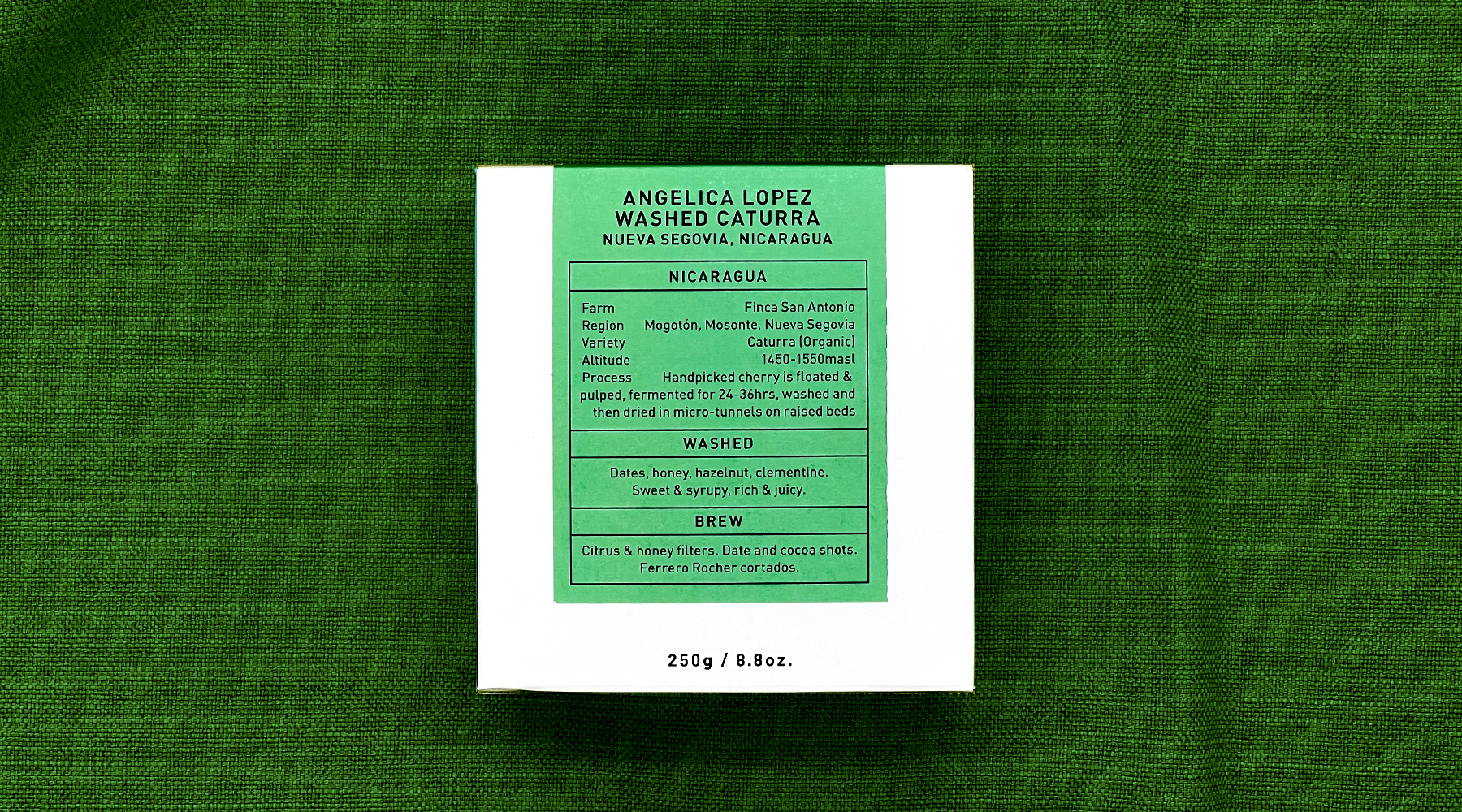 Angelica Lopez Washed Caturra, Nueva Segovia
