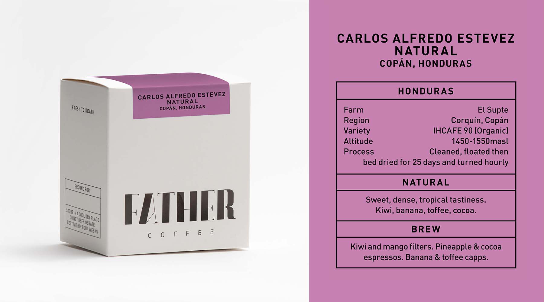 Carlos Alfredo Estevez Natural, Copán, Honduras