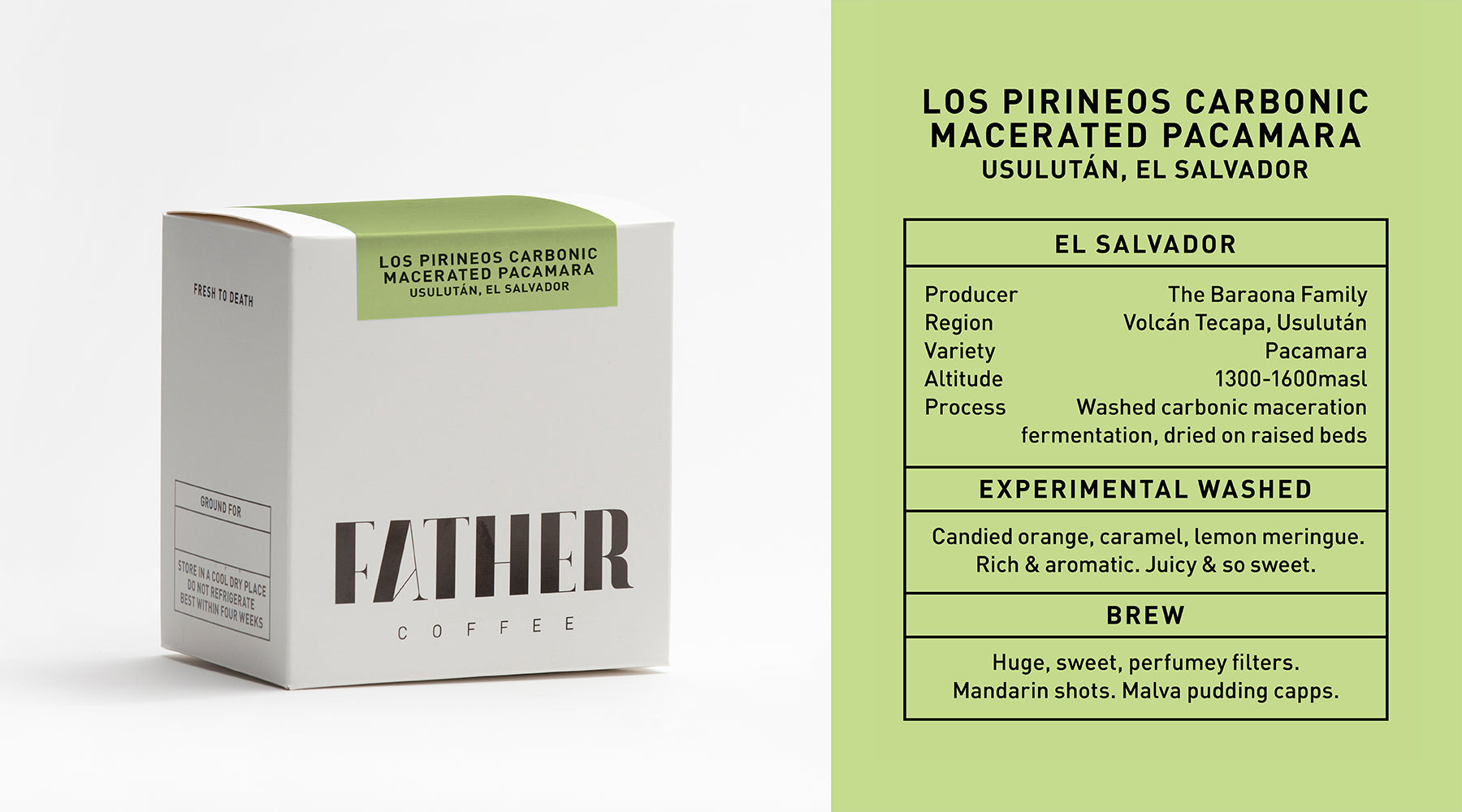Los Pirineos Carbonic Macerated Pacamara, Usulután, El Salvador