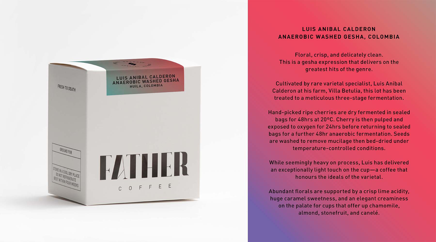 Luis Anibal Calderon Anaerobic Washed Gesha, Huila, Colombia
